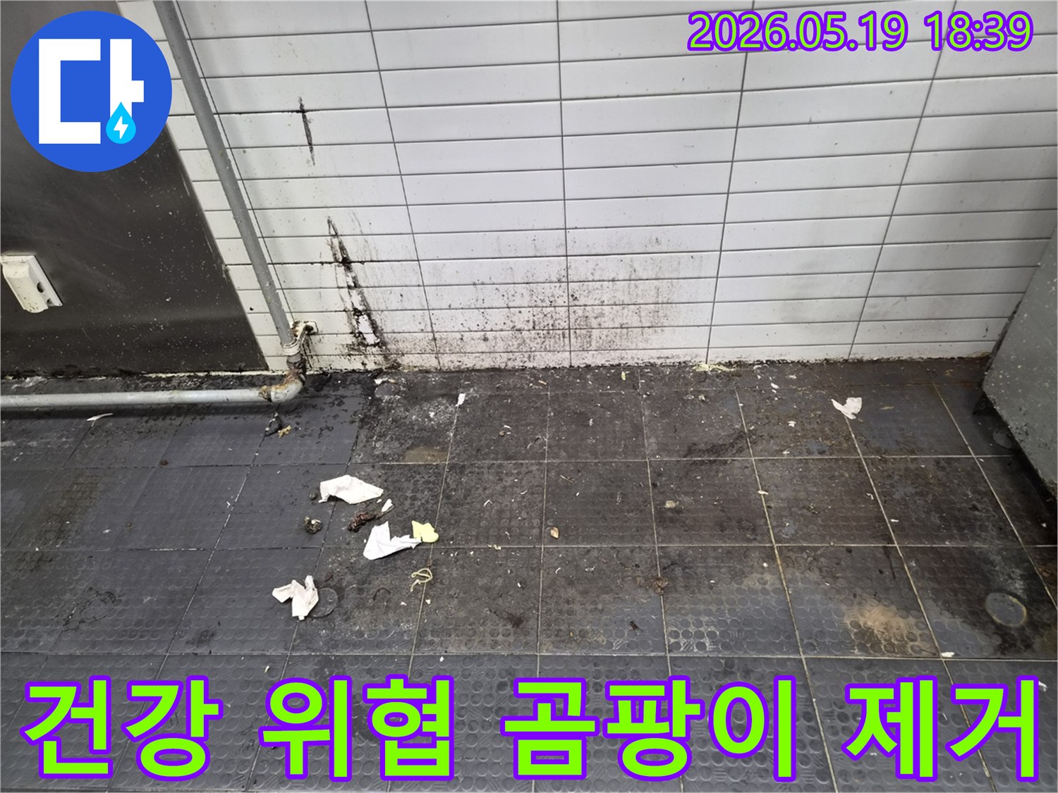오래된 배관에서 발생한 누수로-벽면과 바닥에 심각한 곰팡이가 발생하여 건강을 위협하는 현장으로 완벽 제거가 시급