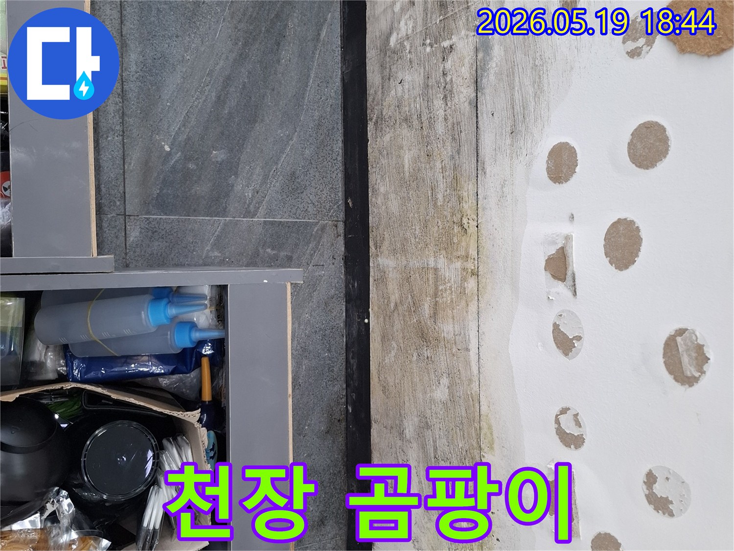 천장 누수로 인해 습기와 곰팡이가 발생한-주거 공간의 피해 상황을 담은 이미지입니다.