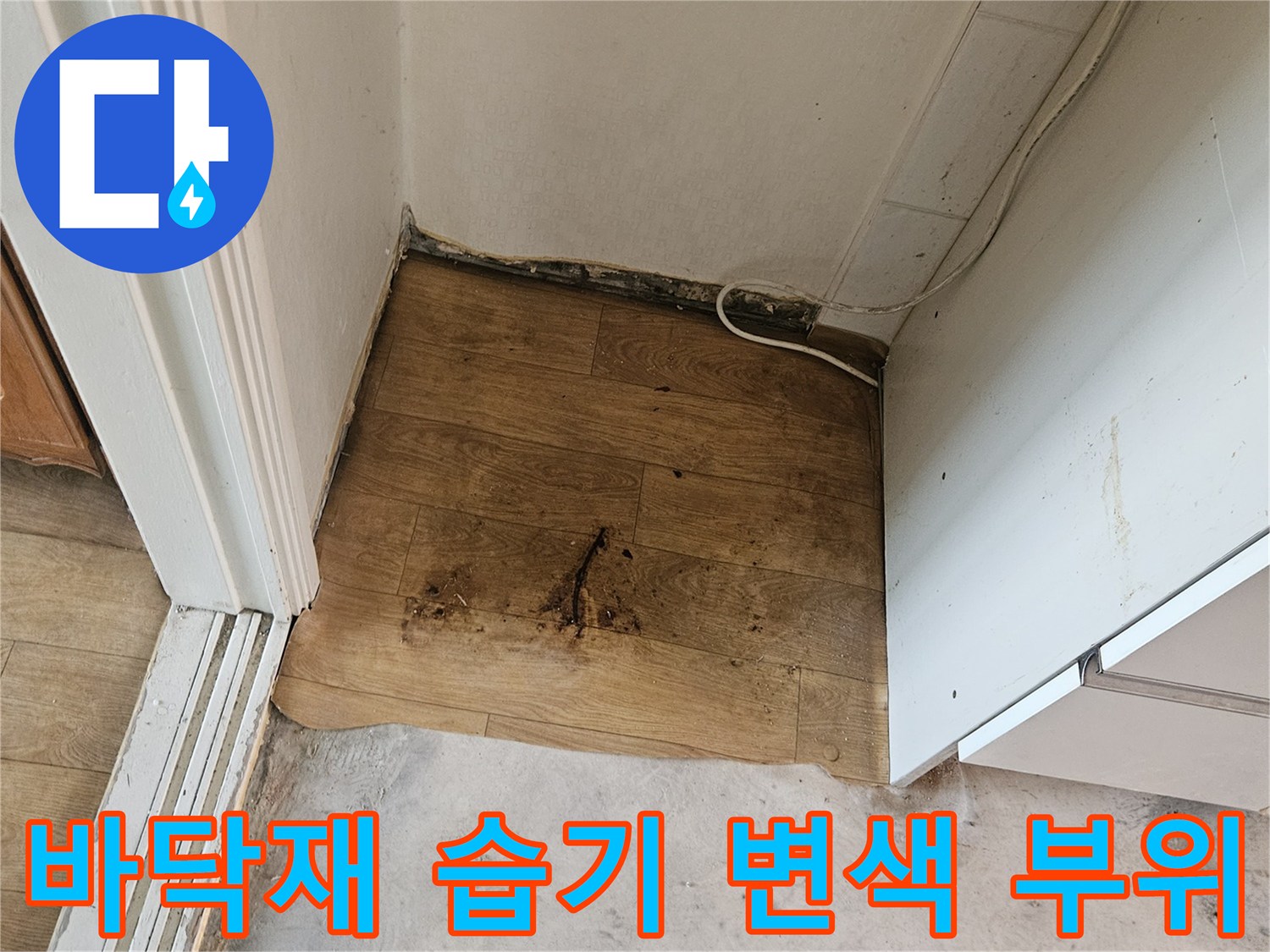벽면 하단 마루가 물기에 젖어 어둡게 변한 모습