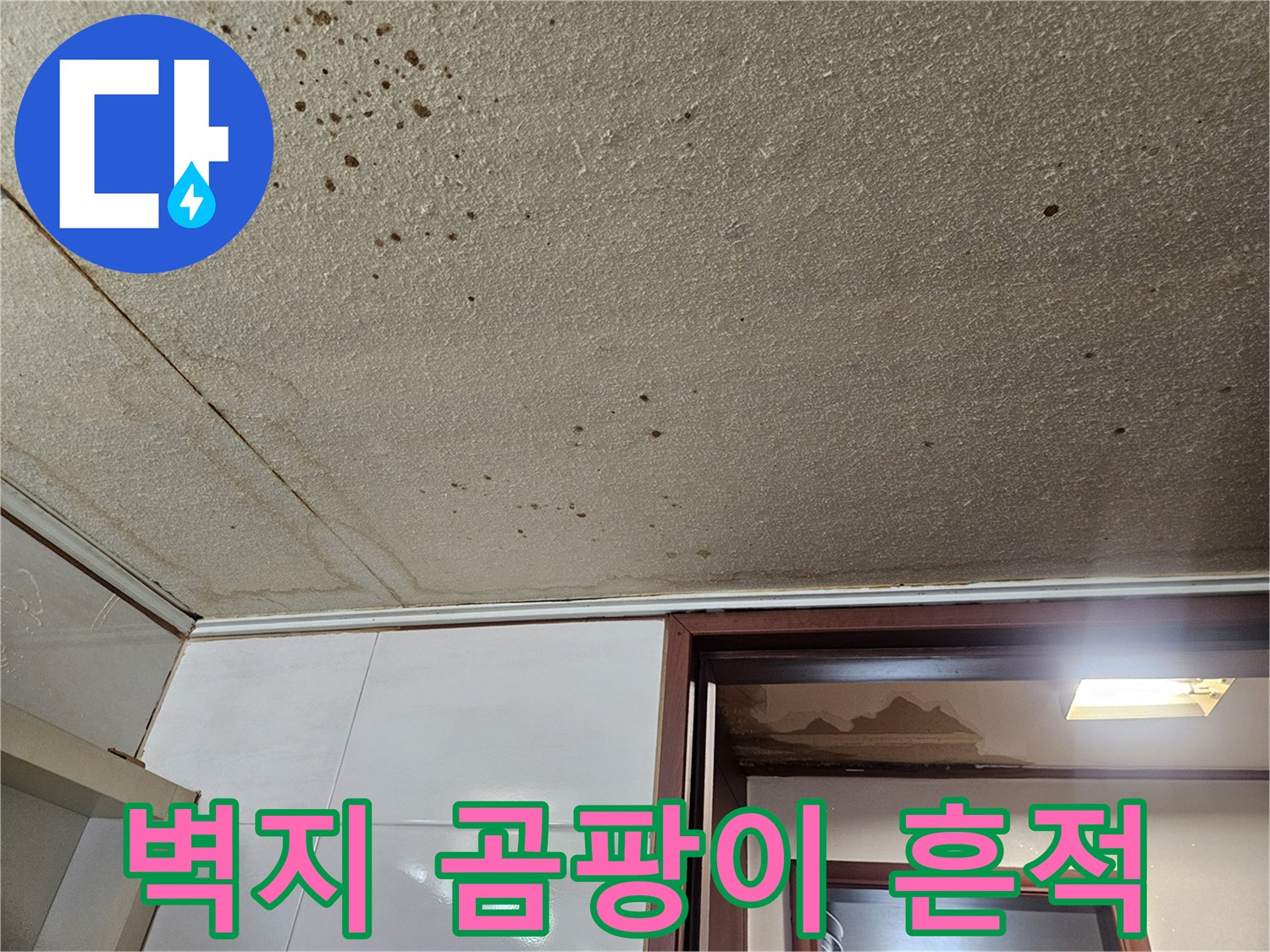 천장 벽지의 누수 오염 및 곰팡이 발생 상태