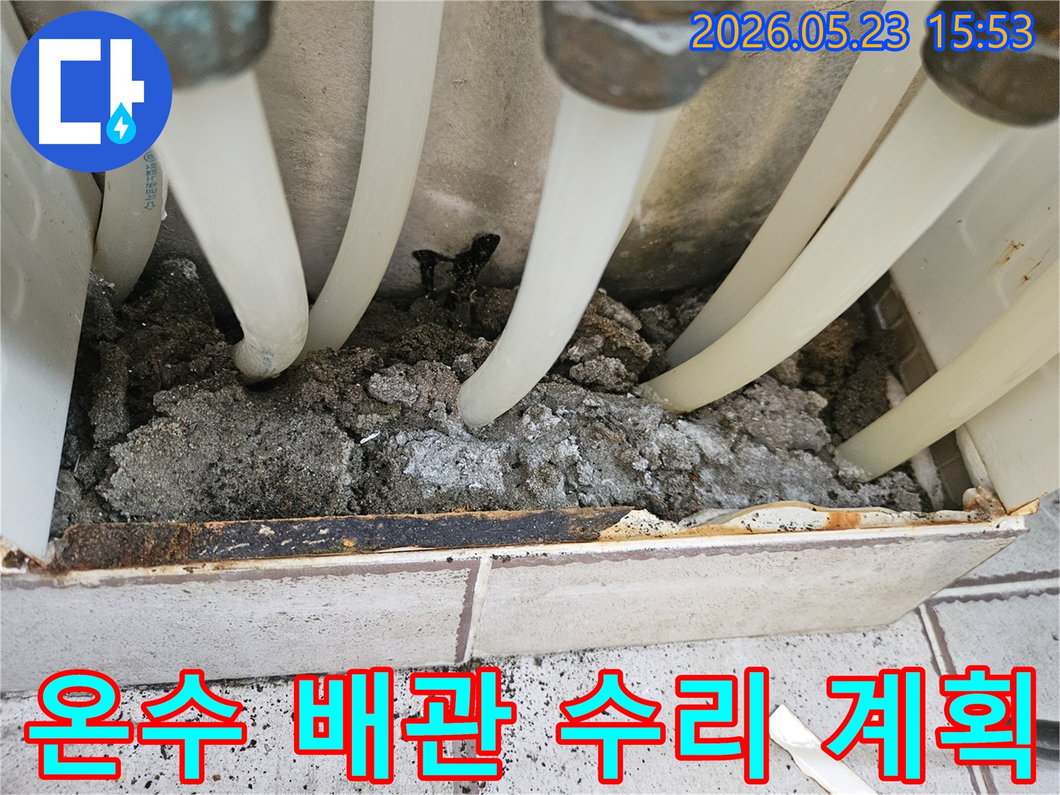 중랑구 지앤지홈타운에서-온수 배관 누수로 인해 젖은 흙과 백화 현상이 있는-수리 계획 현장