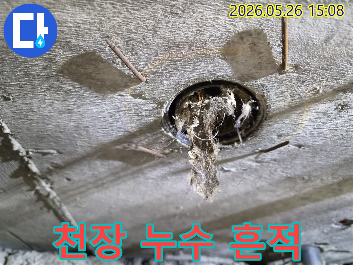 콘크리트 천장 구멍에서-오래된 이물질과-물방울이-맺힌-누수-현장의-상황을-보여주는-사진
