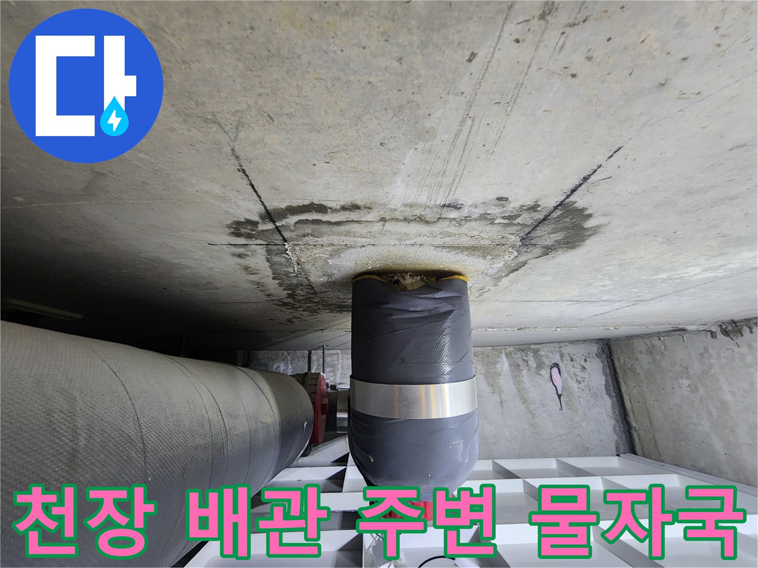 화장실 천장 내부-오수 배관 주변의 젖은 콘크리트 표면