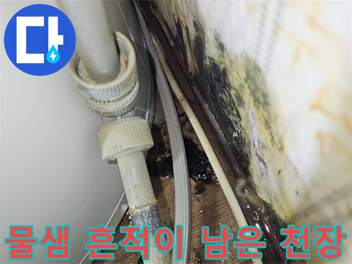 배관-주변-벽지-젖음-및-곰팡이-발생-증상