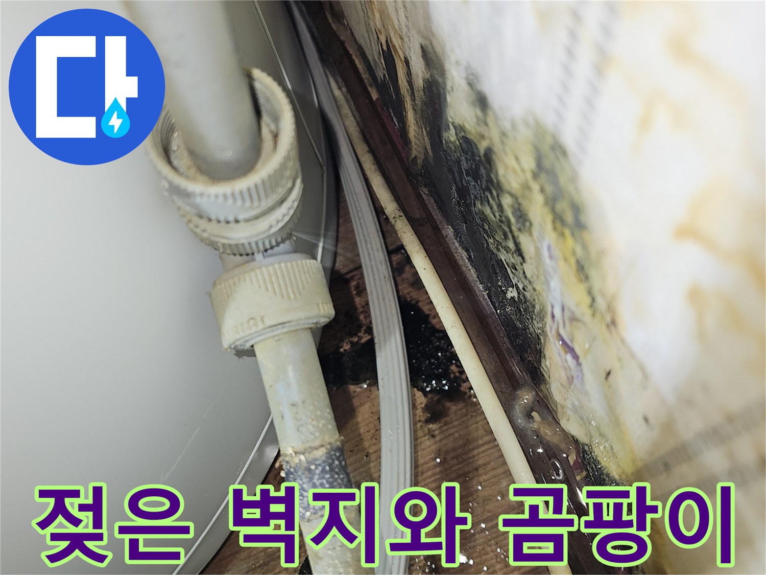 배관-주변-벽지-젖음-및-곰팡이-번짐-현상