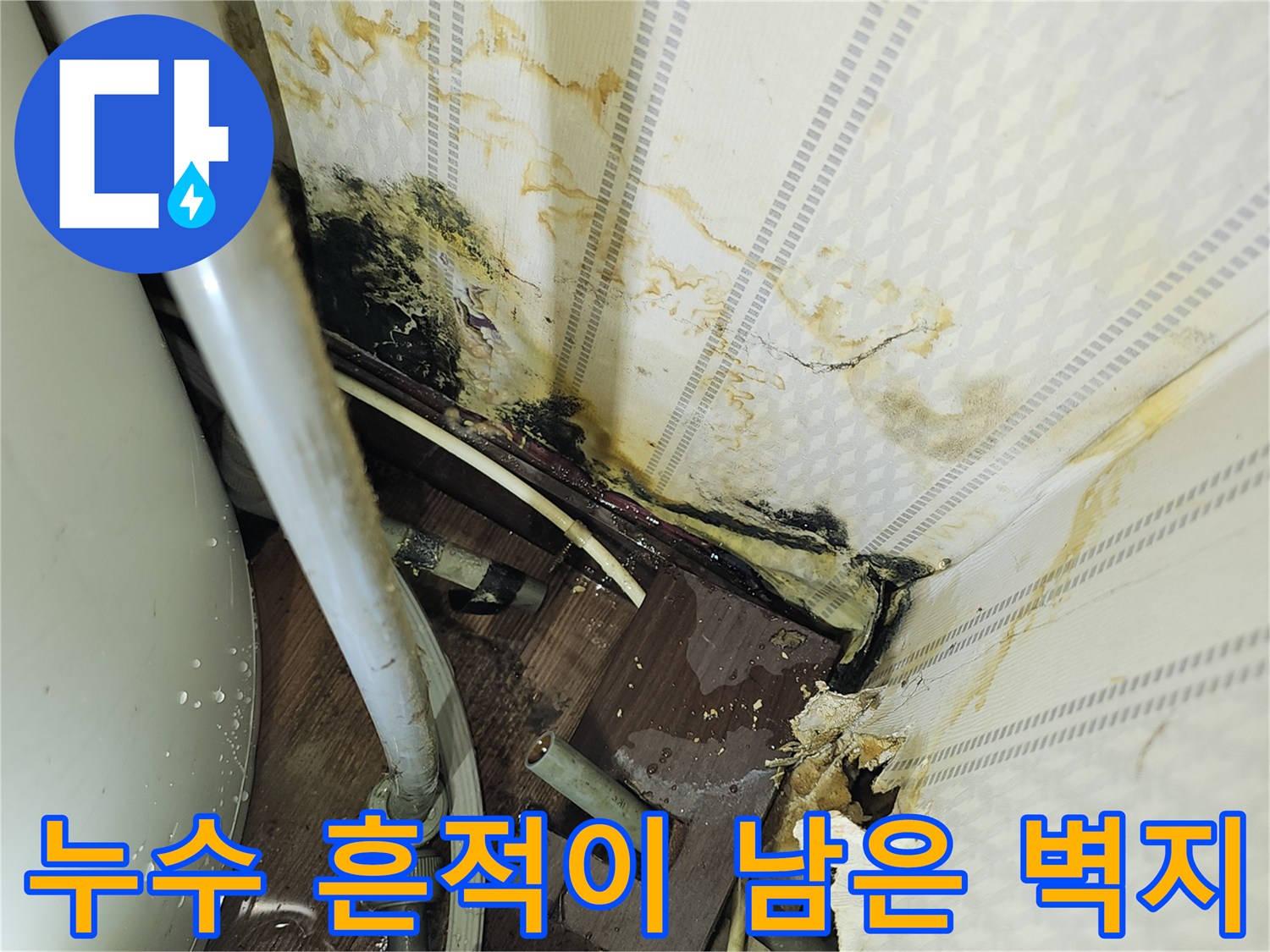 배관 주변의 심한 변색과 곰팡이 발생 부위