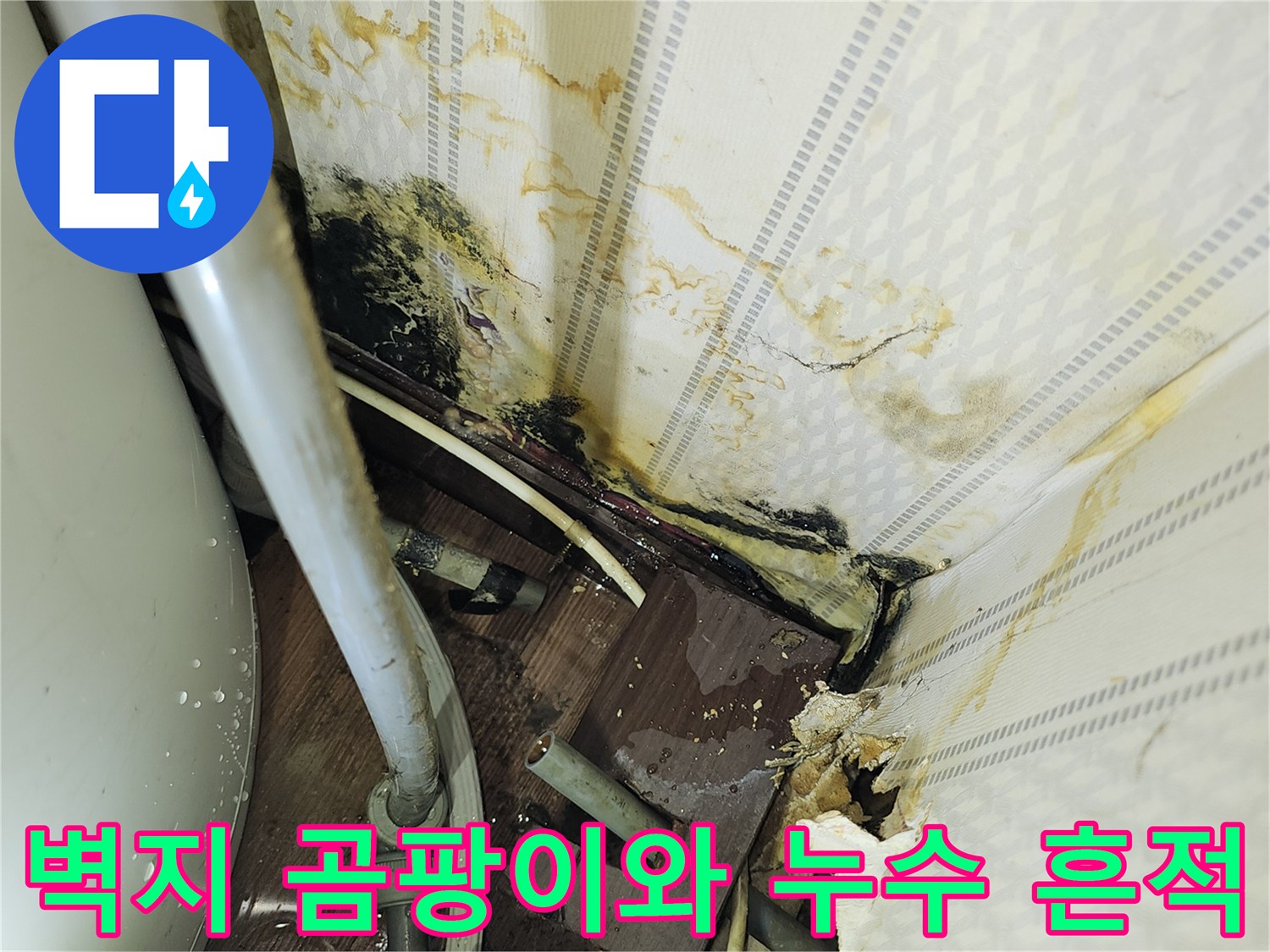 영등 포구
여의도 상가 내부 벽지에 발생한 곰팡이와 물샘 흔적