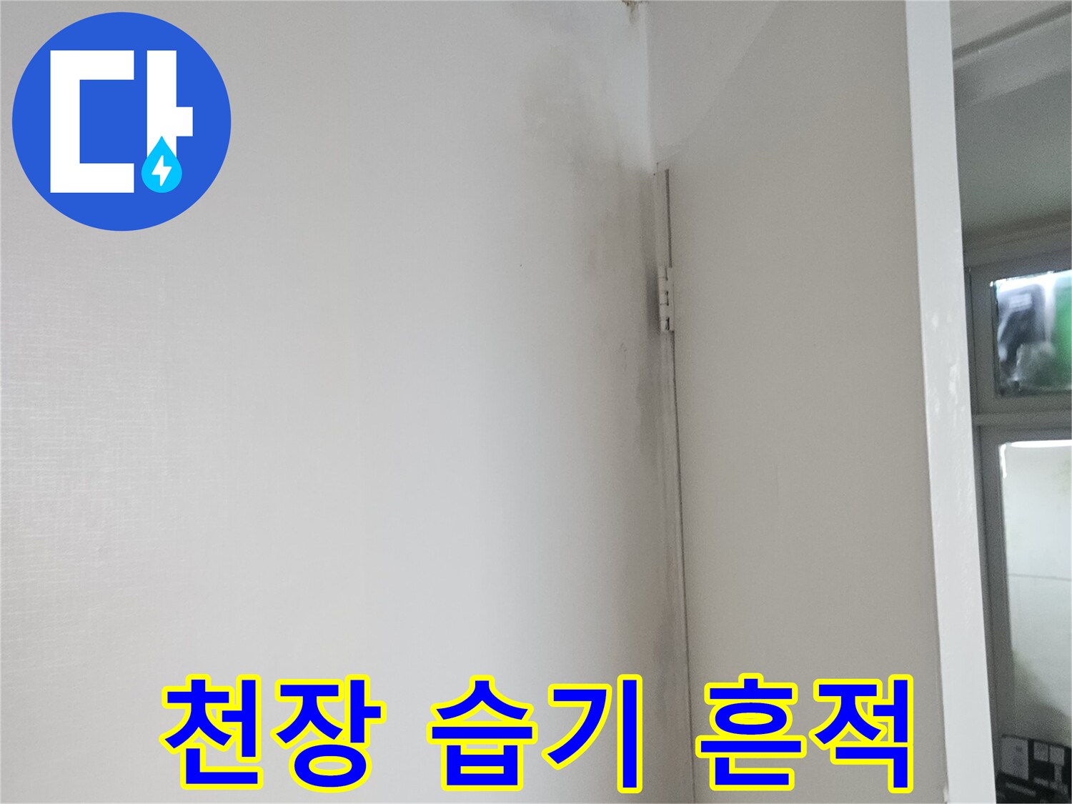 누수로 인해 변색된 천장 마감재 부위 - 현장 점검 중