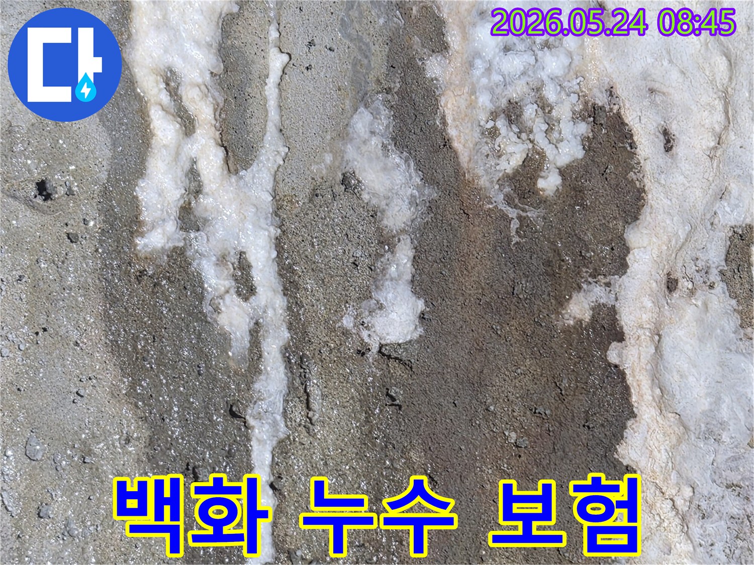 누수로 인해-벽면에 발생한-하얀 백화 현상이-누수 보험 처리의-증거 자료로 활용될 수 있음을 보여주는-콘크리트 벽면 이미지