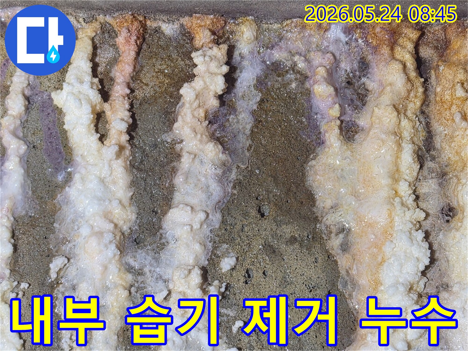 빌라-내부-벽면에-누적으로-발생한-심각한-백화현상과-습기-침투-흔적-제거-작업