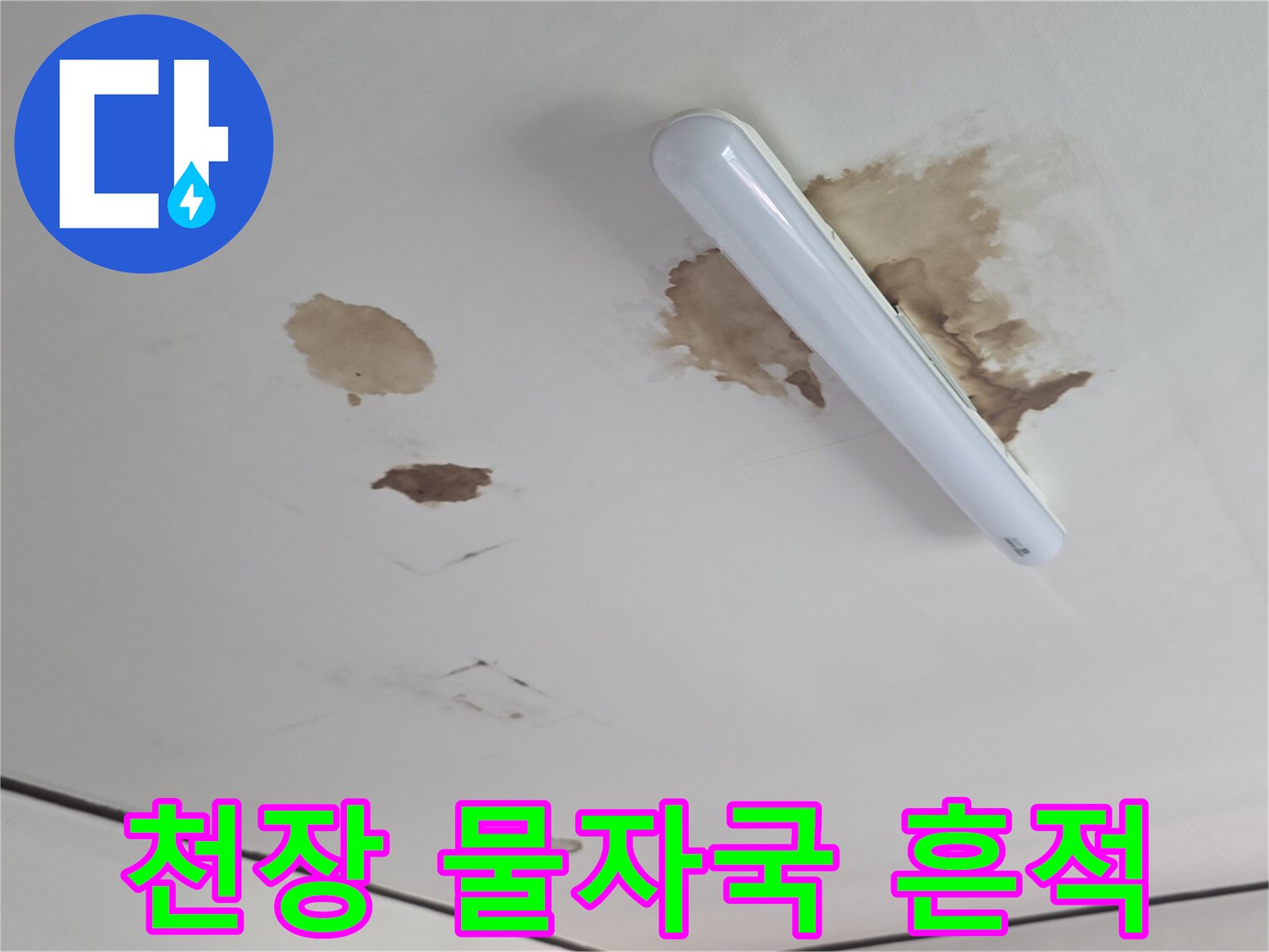 습기에-젖어-변색된-다용도실-천장-표면