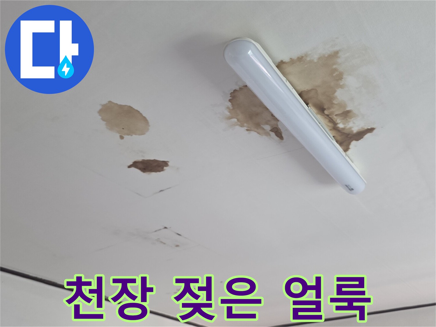 흰색 천장에 발생한 갈색 누수 오염 부위
