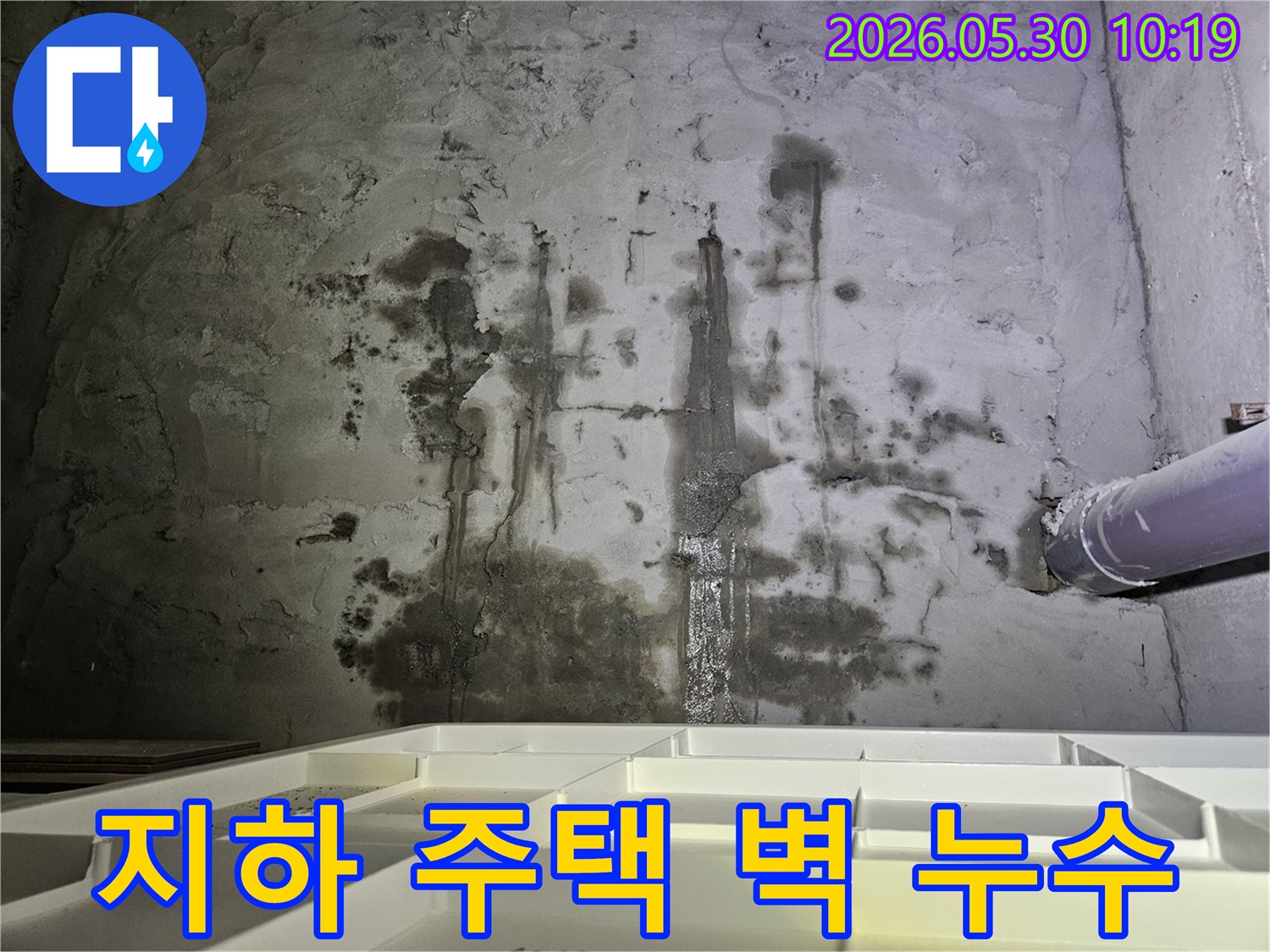 지하 주택 벽면에서-물이 새어 나와-축축하게 젖고-오염된-누수 현장