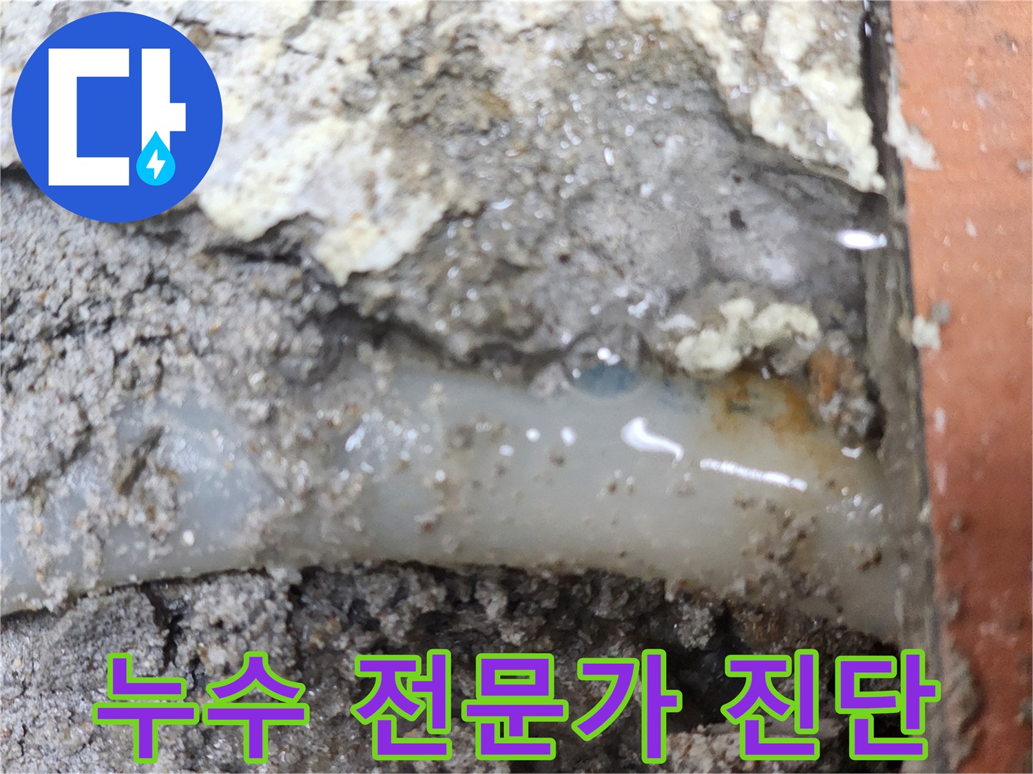 누수-전문가가-정밀-진단으로-누수-지점을-확인한-현장입니다