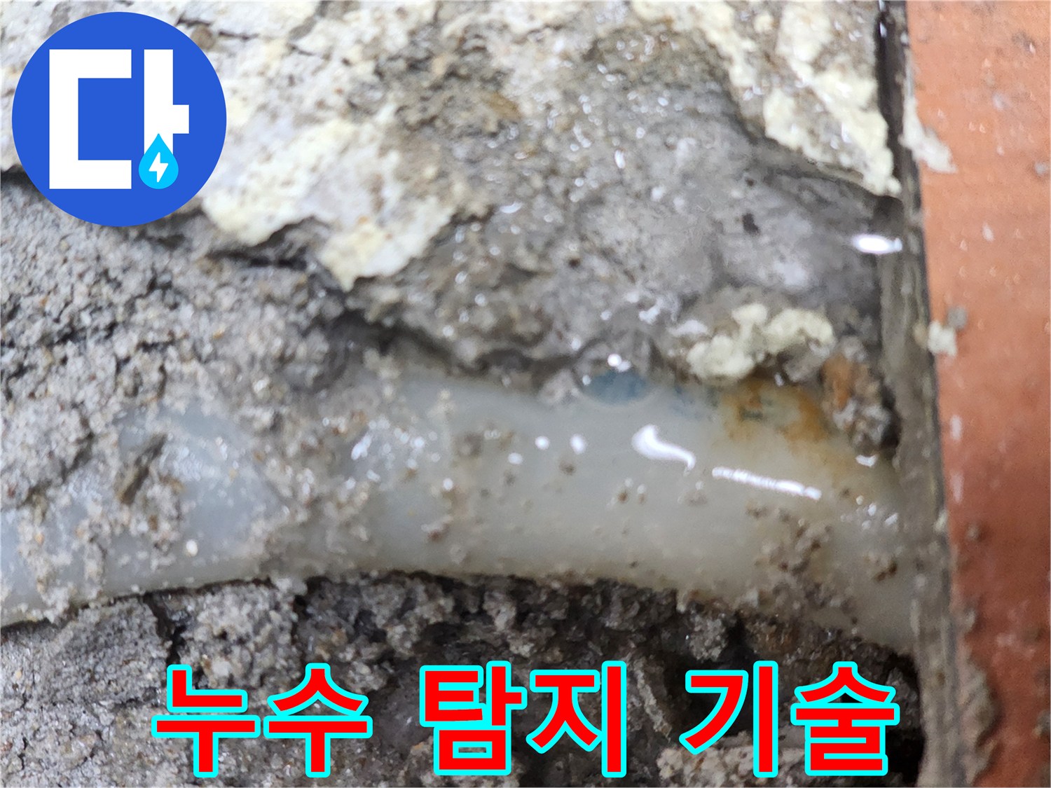 누수-전문가가-최첨단-탐지-기술로-누수-지점을-확인한-현장입니다