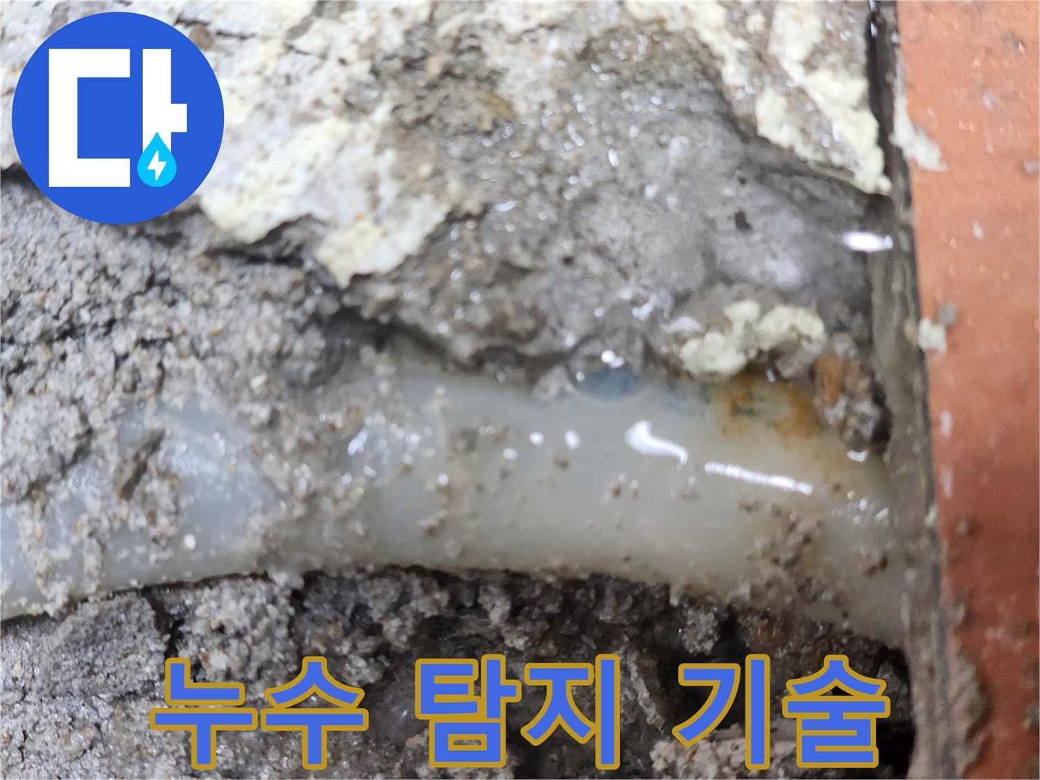 누수-전문가가-최첨단-탐지-기술로-누수-지점을-확인한-현장입니다