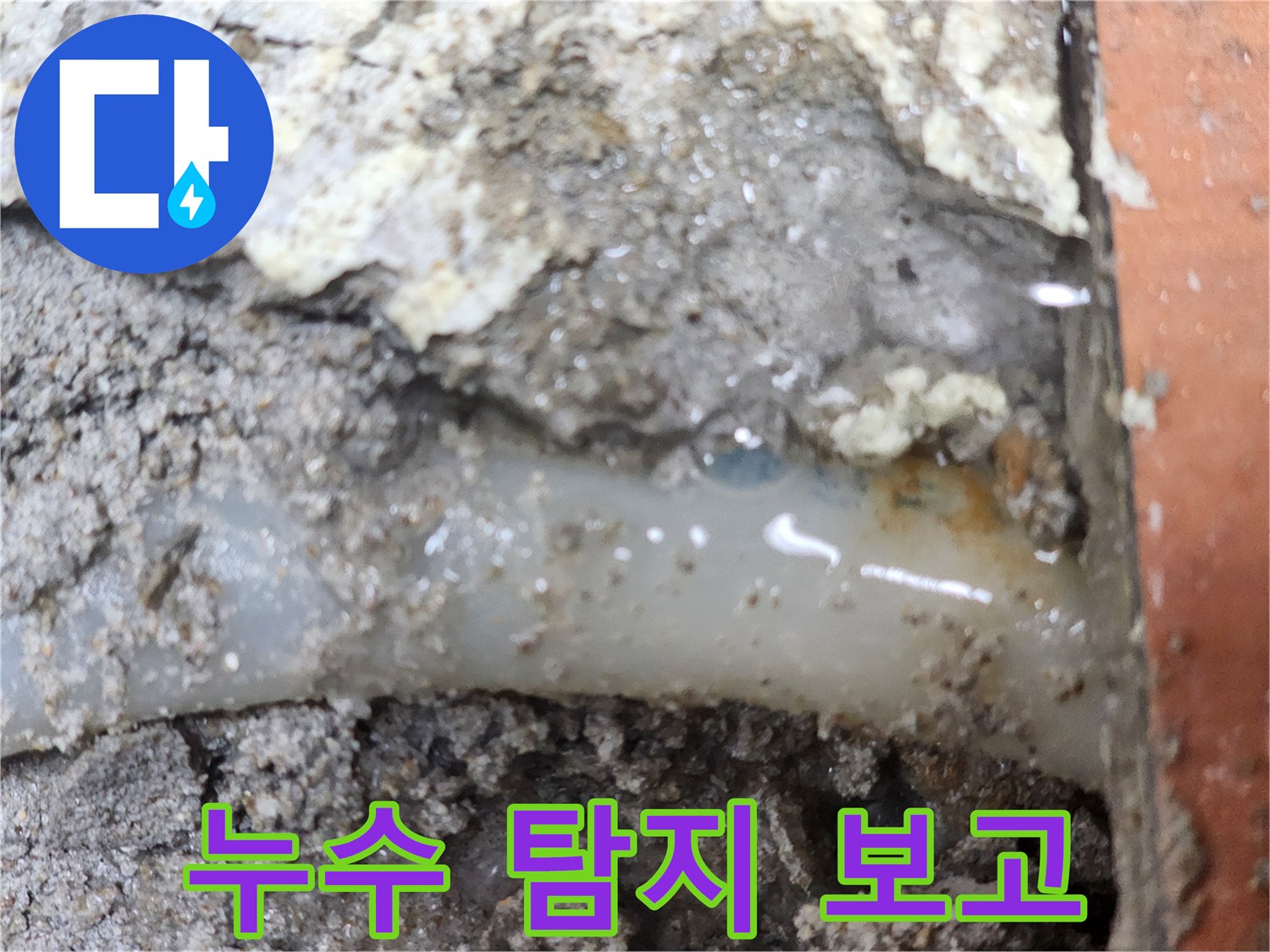 전문가가-정밀-탐지로-누수-지점을-정확히-보고한-현장입니다