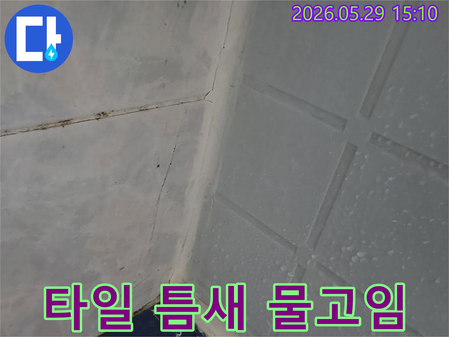 이 이미지는 동두천 아파트 욕실 타일 틈새에 물이 고여 있는 누수 현장을 보여줍니다-전문가가 물고임 원인을 정밀하게 분석하고 있습니다