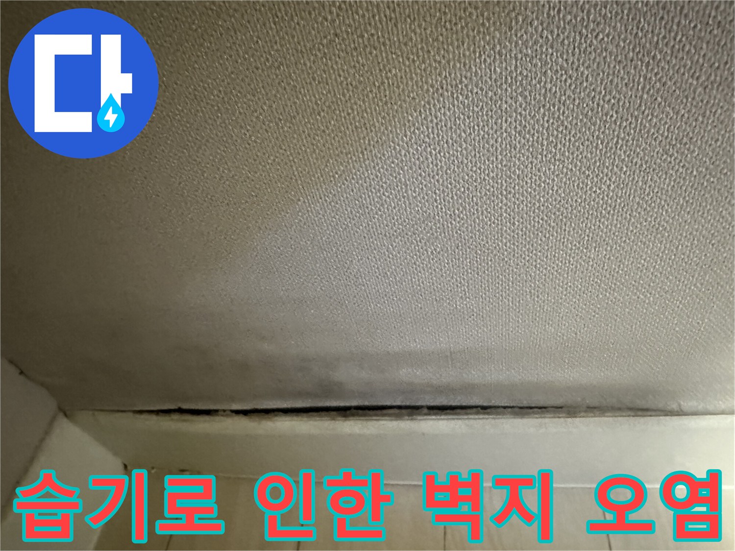 벽지-하단부의-어두운-곰팡이-오염-흔적