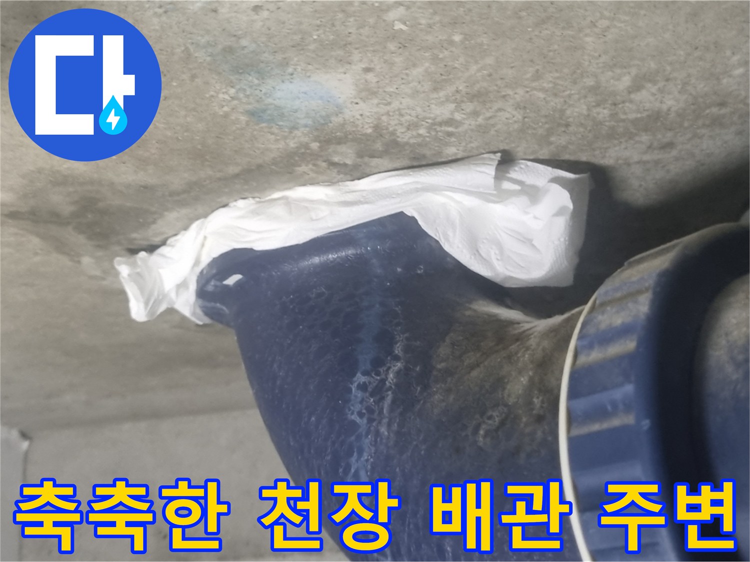오수관 연결 부위-습기로 인해 젖어 있는 천장 구조물