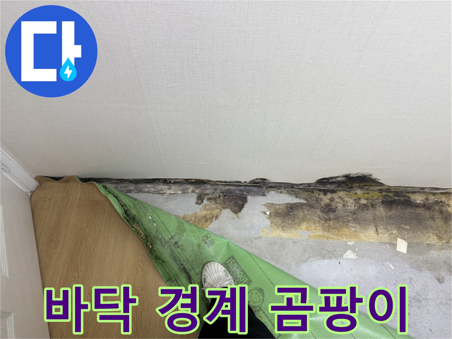 벽지와 장판이 만나는 지점의 곰팡이 오염 상태