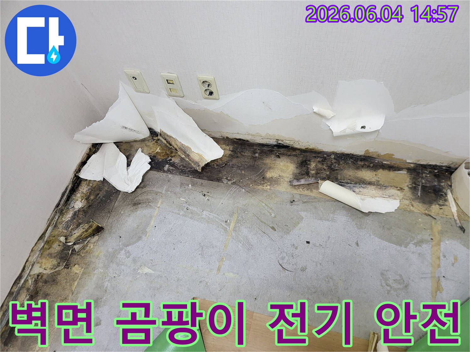 콘센트 주변 벽지가 젖어 들뜨고-그 아래로 검은 곰팡이가 심하게 번져있는-누수 피해 현장의 상세 모습과 전기 안전 우려