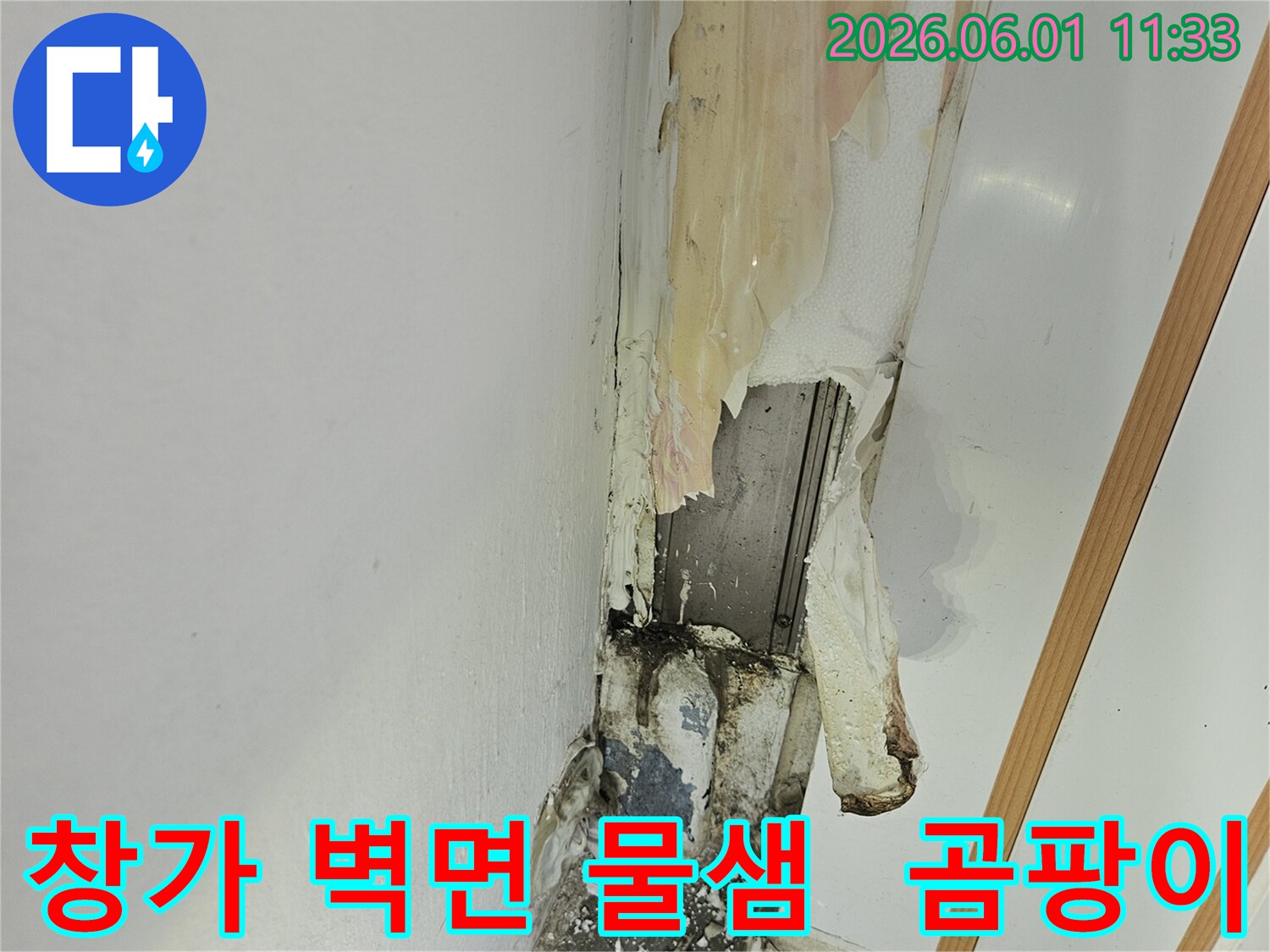창가 벽면에서 물이 새어 페인트가 벗겨지고 곰팡이가 심하게 발생한 현장 사진