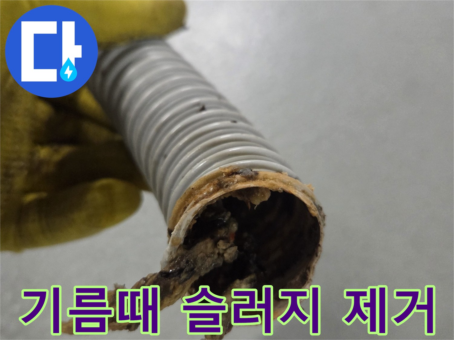 노란색 장갑을 낀 손이-기름때와 이물질로 막힌 배수관을 들고 있습니다.