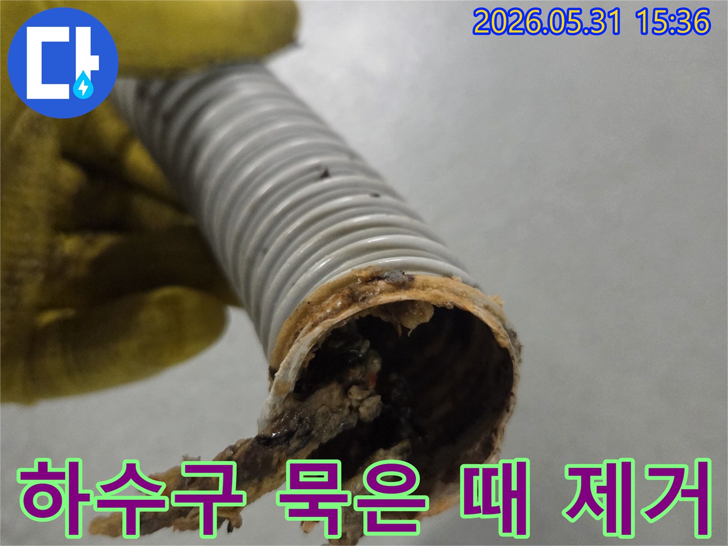 노란색 장갑을 낀 손이-오랜 시간 사용으로 더러워진 배수관을 보여주고 있습니다.