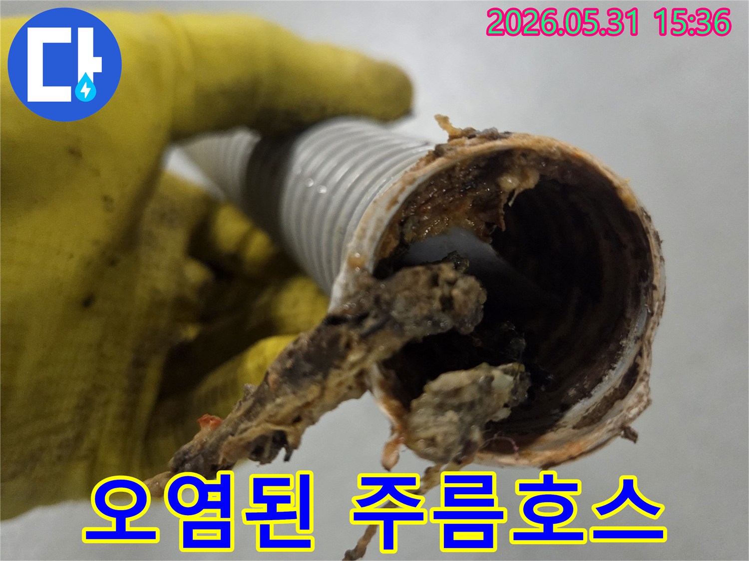 오래된 음식물 찌꺼기로-심하게 오염된-싱크대 배수관 주름호스