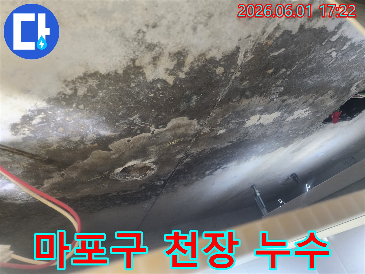 천장 콘크리트 표면에-심한 물자국과-검은 곰팡이가-번식한 모습으로-누수 피해의-심각성을 보여줍니다.