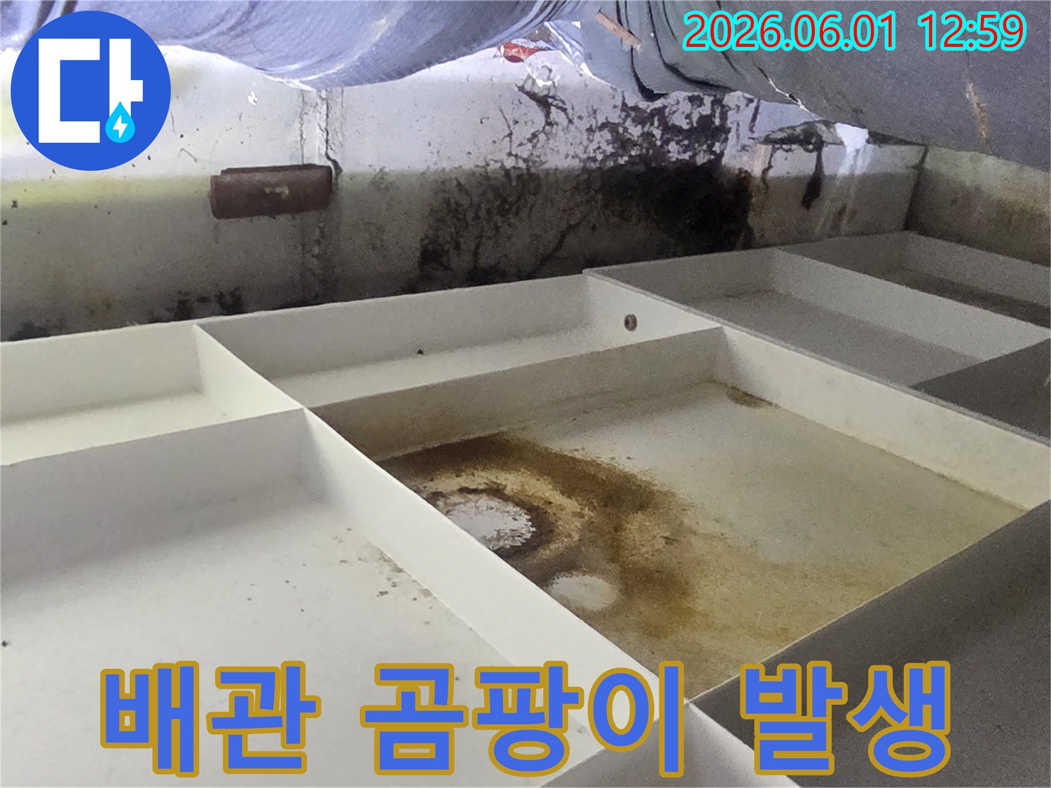 이 사진은-배관 주변에서-발생한-누수로 인해-습기가 차고-곰팡이가-번식한-현장을-보여줍니다