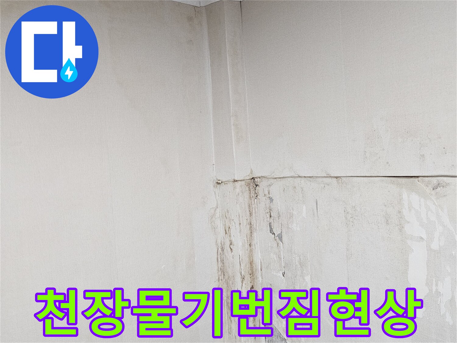 상가-벽면-및-천장-물기-스며든-모습