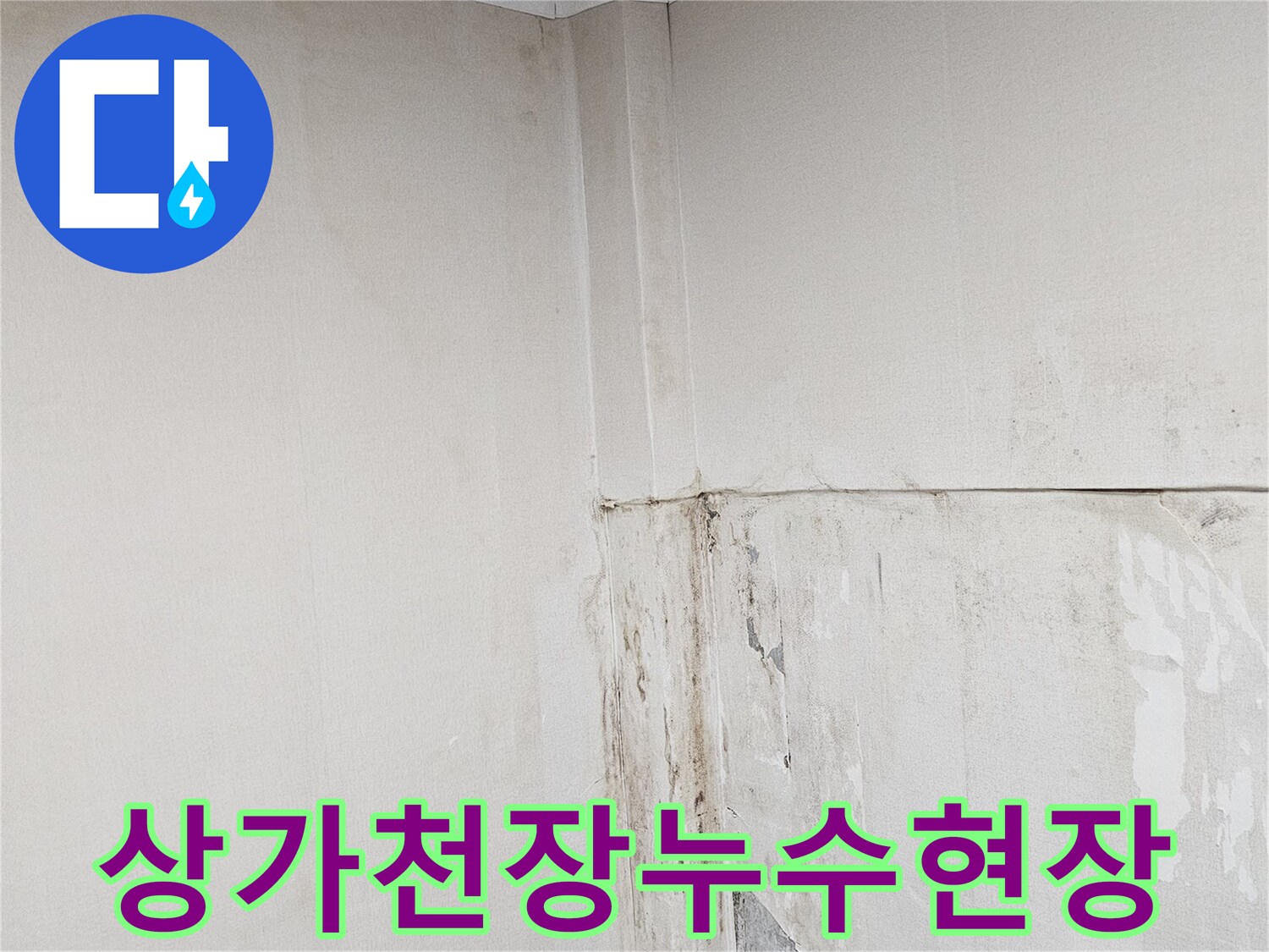 용인-수지구-상가-천장-물샘-및-벽면-오염-사진