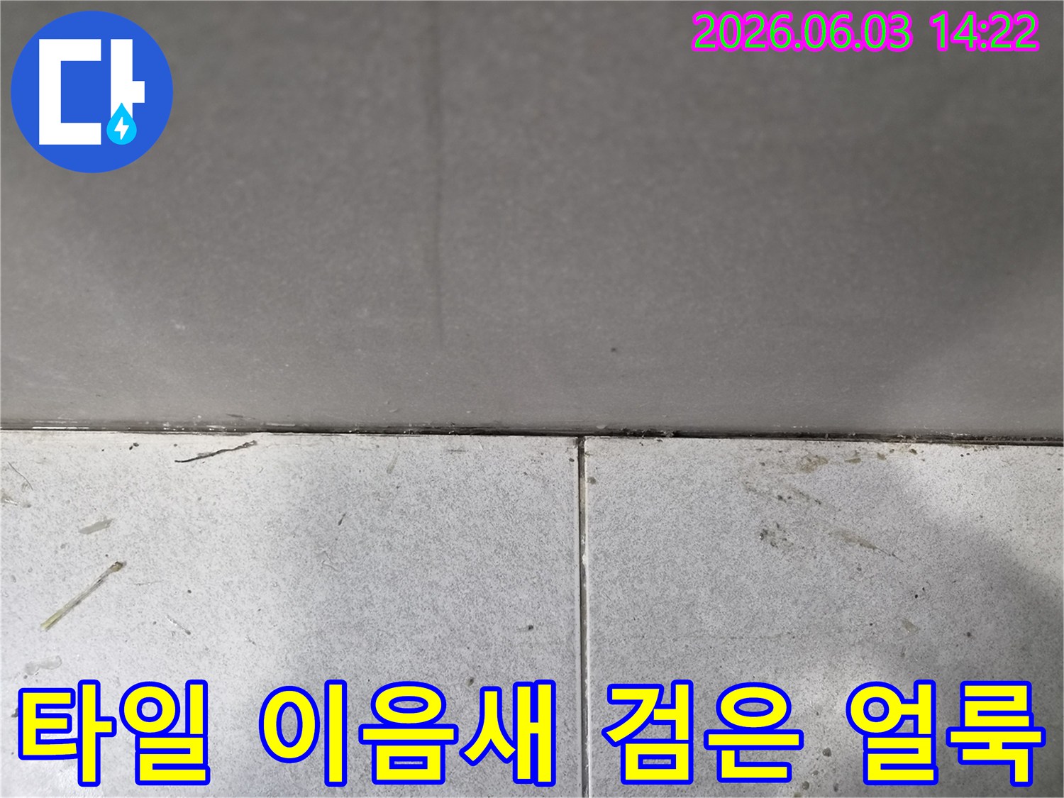 누수-탐지-중-발견된-타일-접합부의-검은-오염-상태