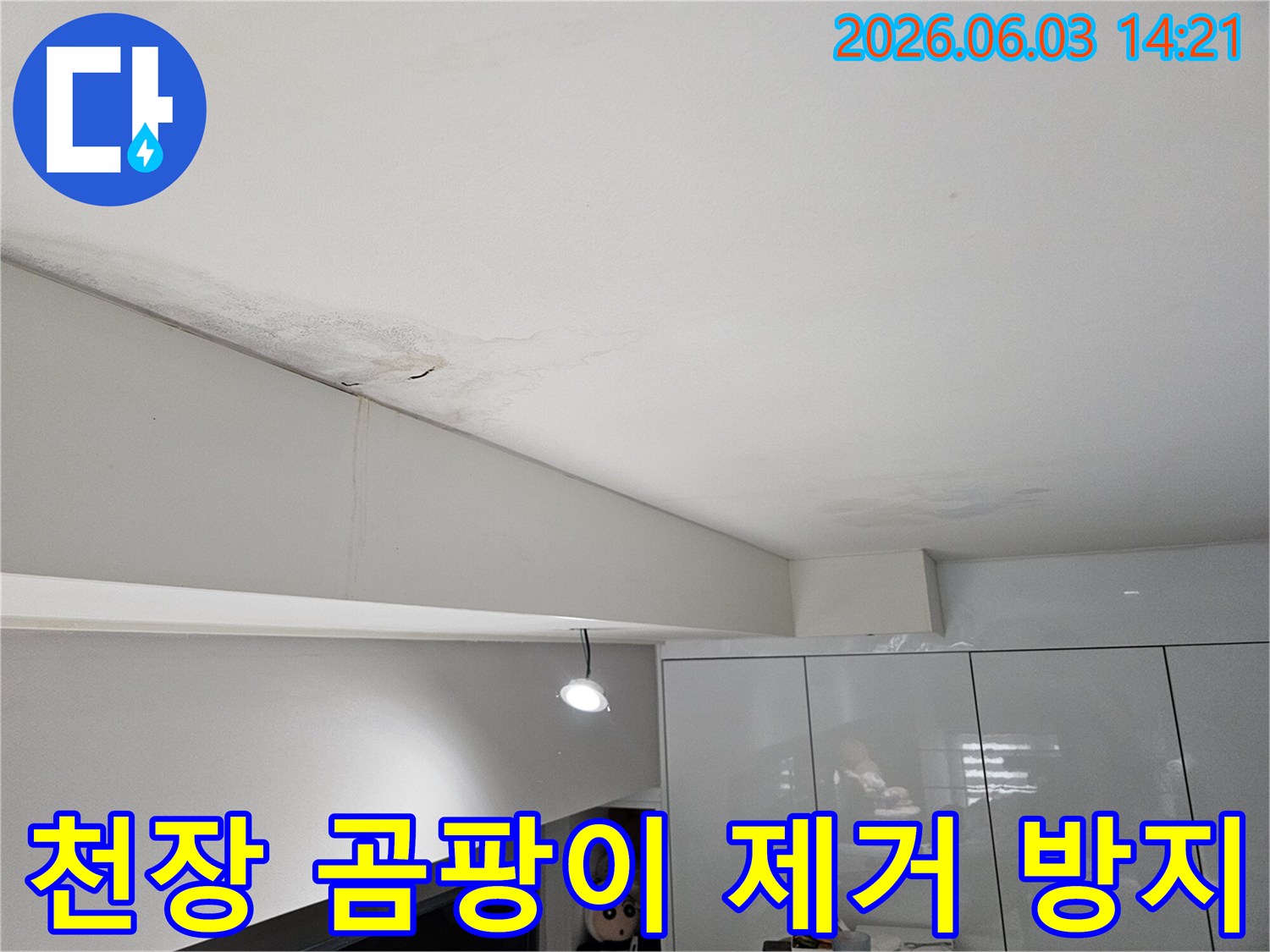 천장-누수-얼룩과-함께-곰팡이가-번식할-위험이-높아-제거와-방지가-필요한-모습