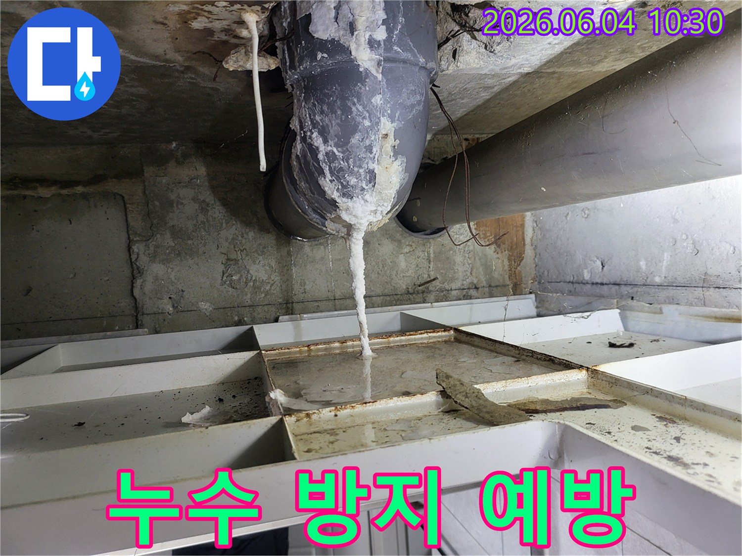 천장 배관에서 물이 새어 나와-석회질이 고드름처럼 맺히고-아래 바닥에 물이 고인 누수 현장
