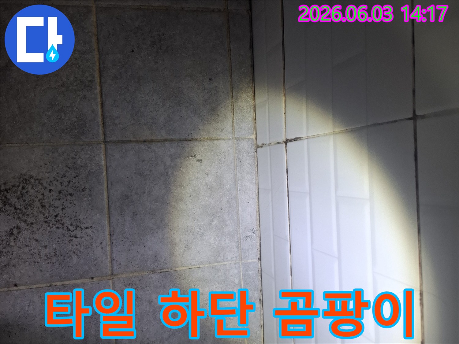 아파트-욕실-타일-하단에-발생한-검은-곰팡이와-오염-흔적을-확대하여-보여주는-사진입니다