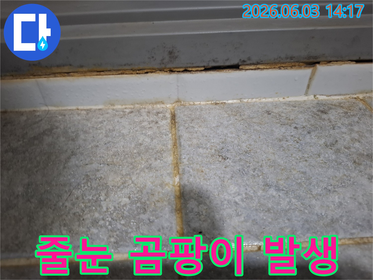 타일 줄눈에 곰팡이가 심하게 발생하여-지속적인 습기와 누수가 의심되는 현장입니다