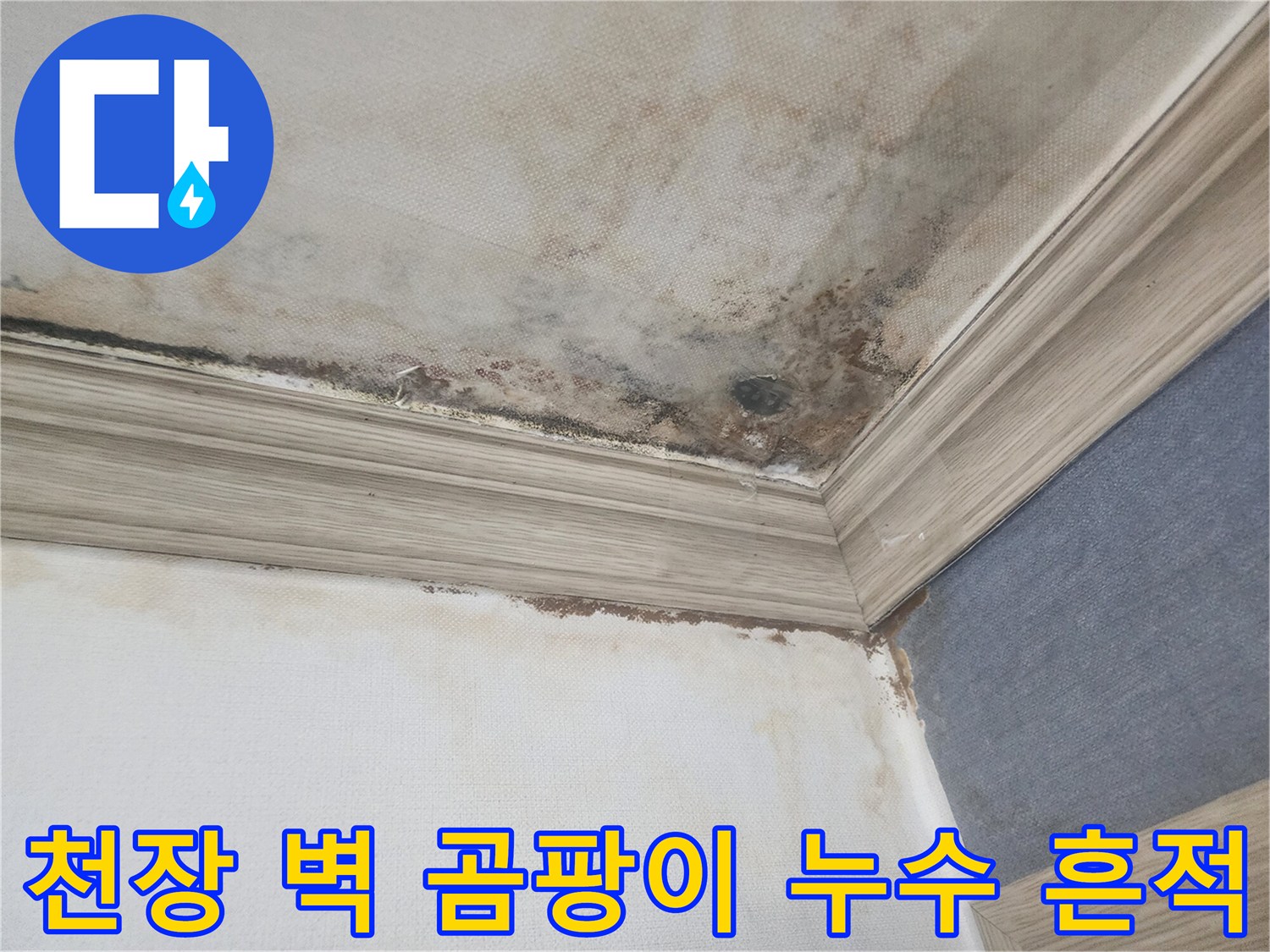 이 이미지는 평택 아파트에서 발생한 천장 누수로-인해 벽과 천장에 심각하게 번진 곰팡이와 물자국을 보여줍니다.