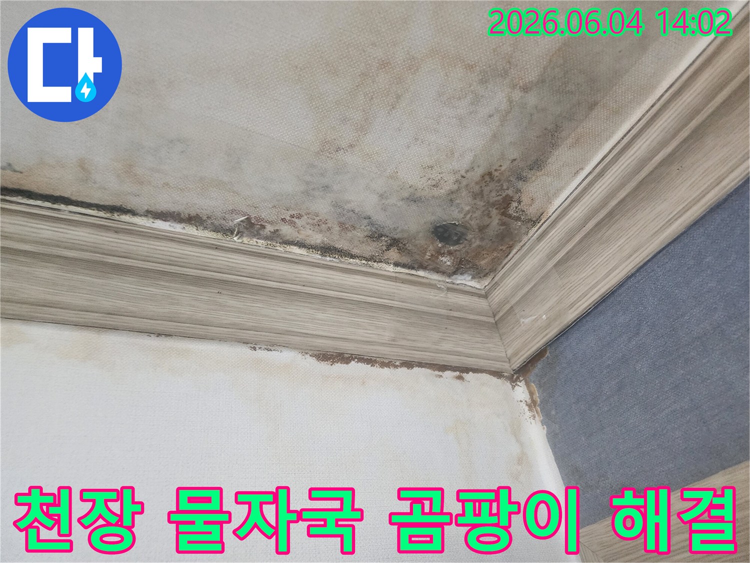 주택 천장과 벽의 경계면에-누수로 인한 물자국과-검은 곰팡이가 넓게 퍼져있는-피해 현장의 상세 이미지