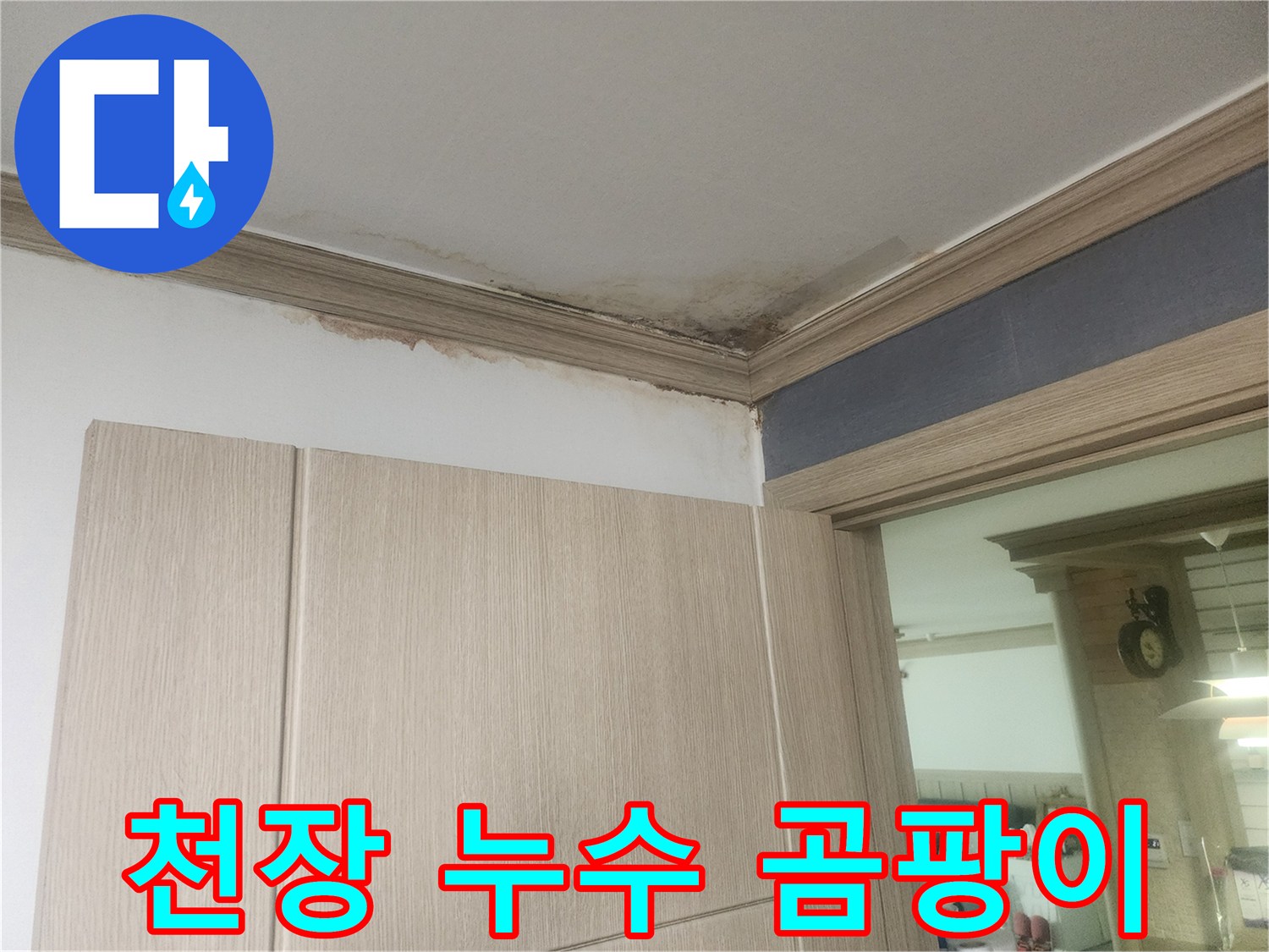 천장-모서리에-발생한-심각한-누수-얼룩과-곰팡이-피해-현장입니다.