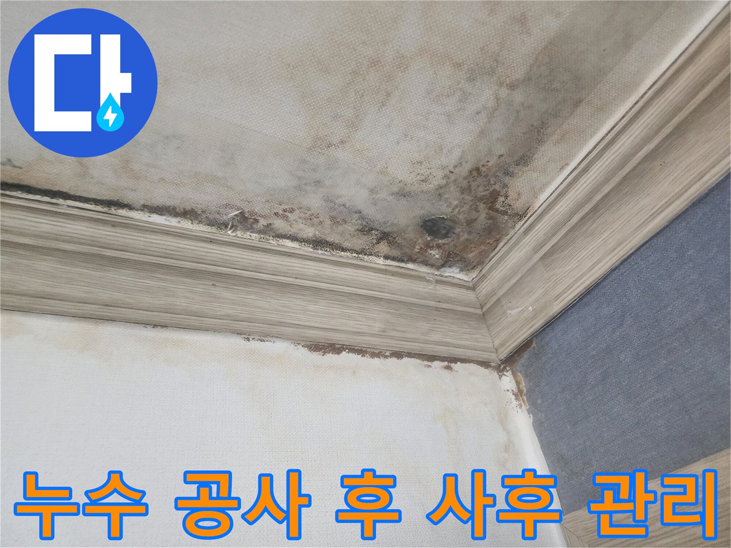 평택 아파트 천장 누수 공사 후-재발 방지를 위한-꼼꼼한 사후 관리와-안심 서비스를 제공합니다.