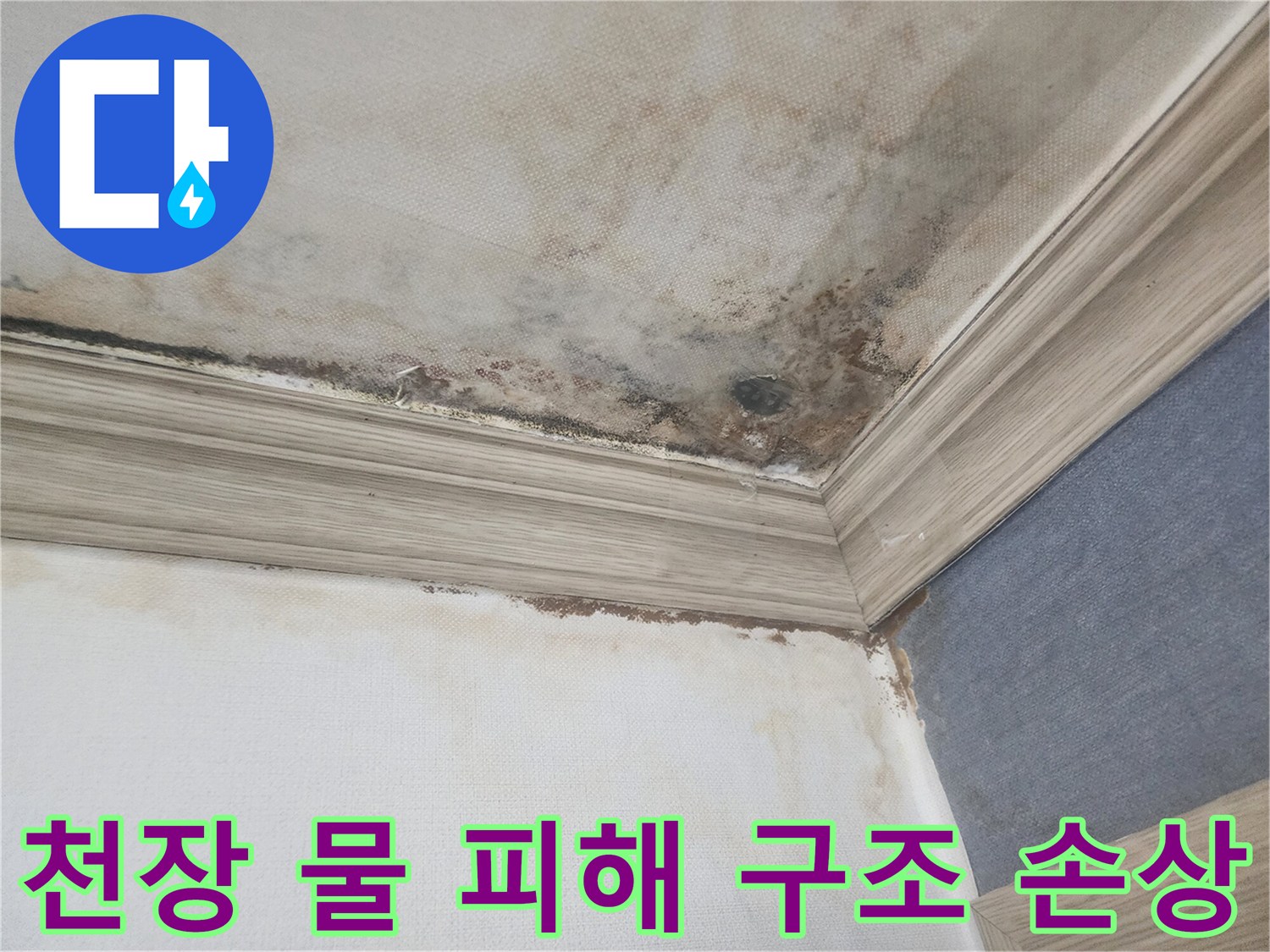평택 아파트 천장에 심각한 물 피해와-곰팡이가 발생하여-구조적 손상이 우려되는-긴급 점검이 필요한 상황입니다.