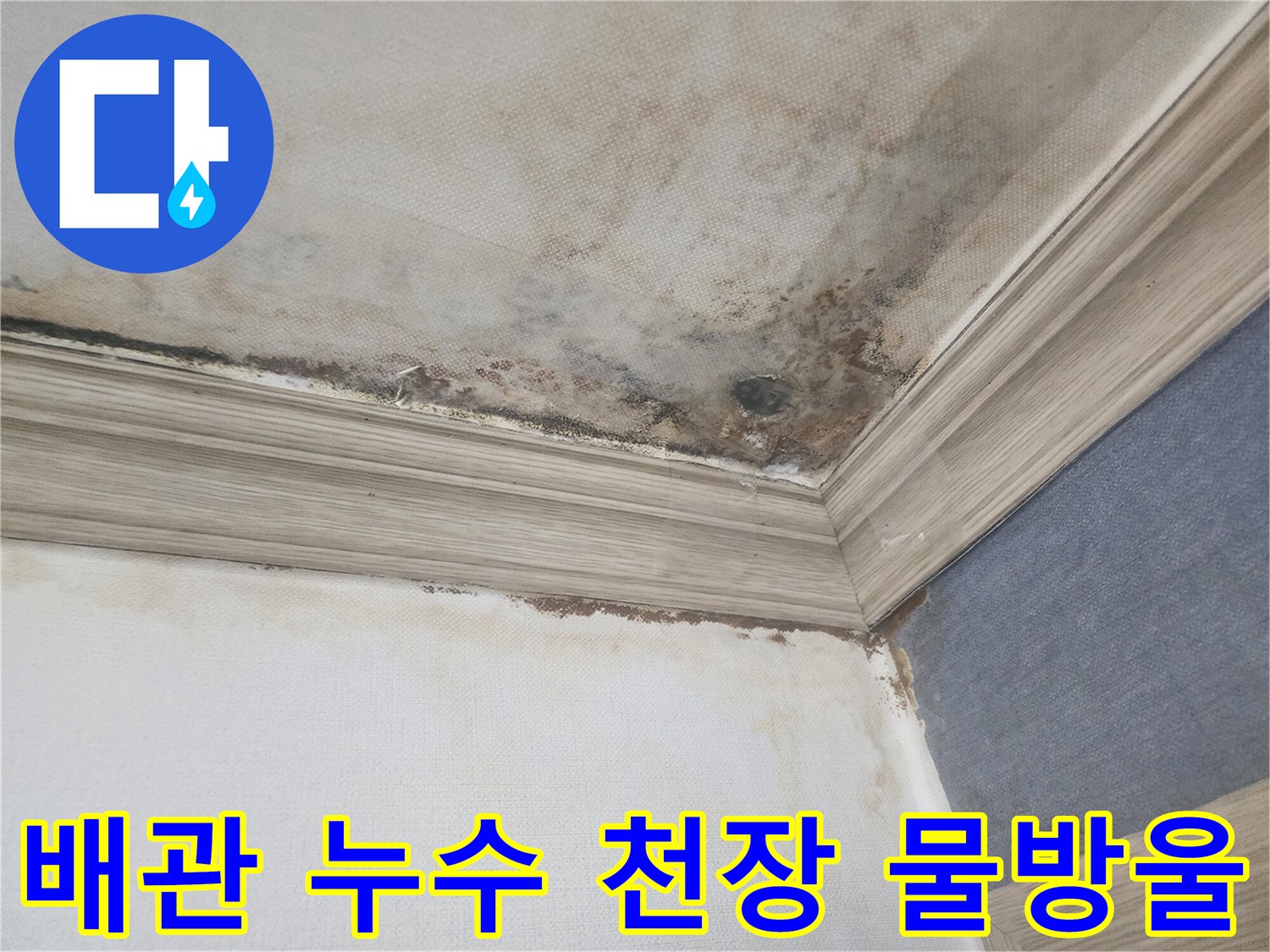 평택 아파트 천장에서 배관 누수로-인해 물방울이 맺히고-곰팡이가 번진 긴급한 상황을 보여줍니다.