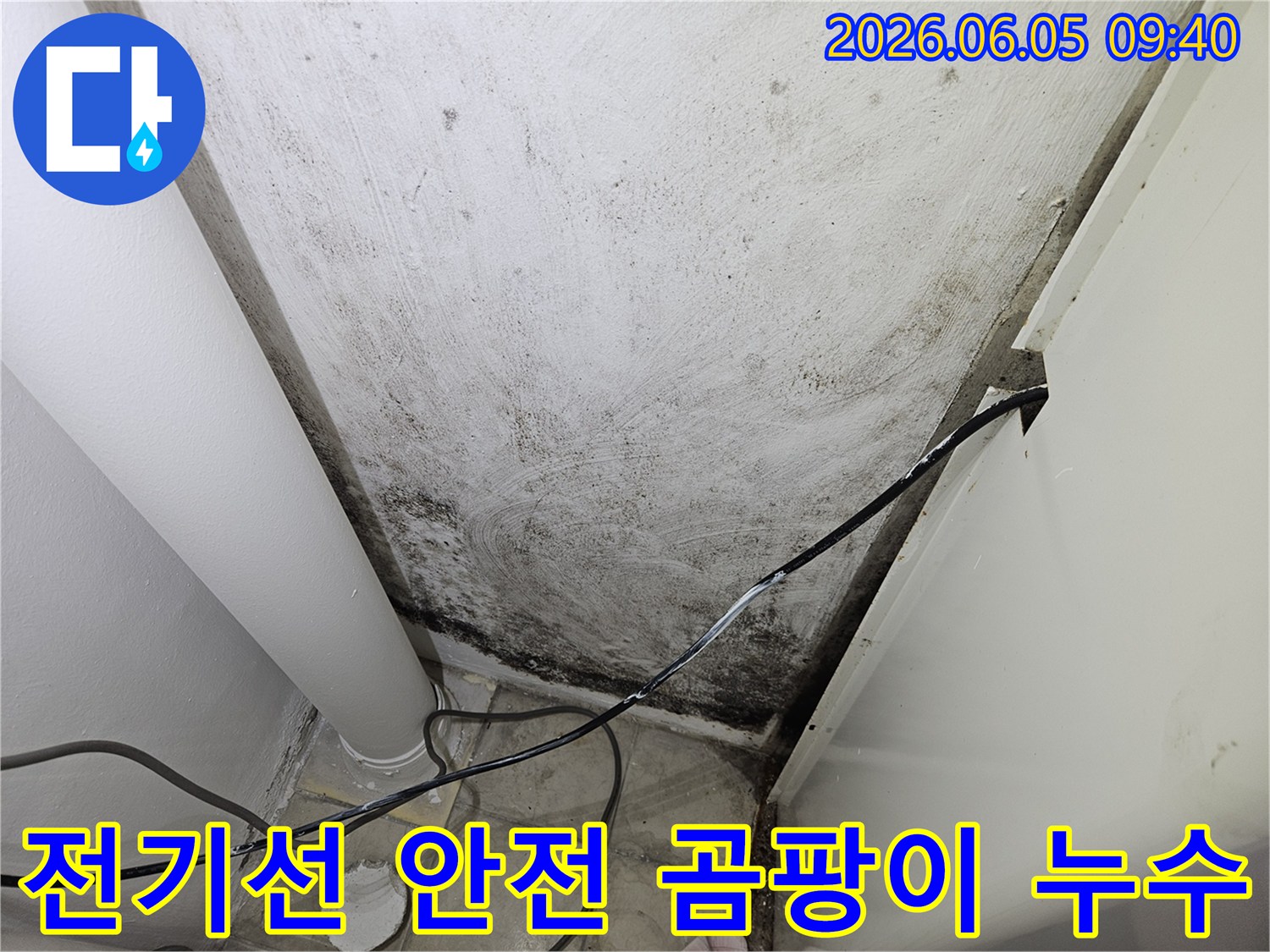 누수-해결-전문가가-곰팡이-발생-현장에서-전기선-안전까지-점검하며-누수-원인을-찾는-모습