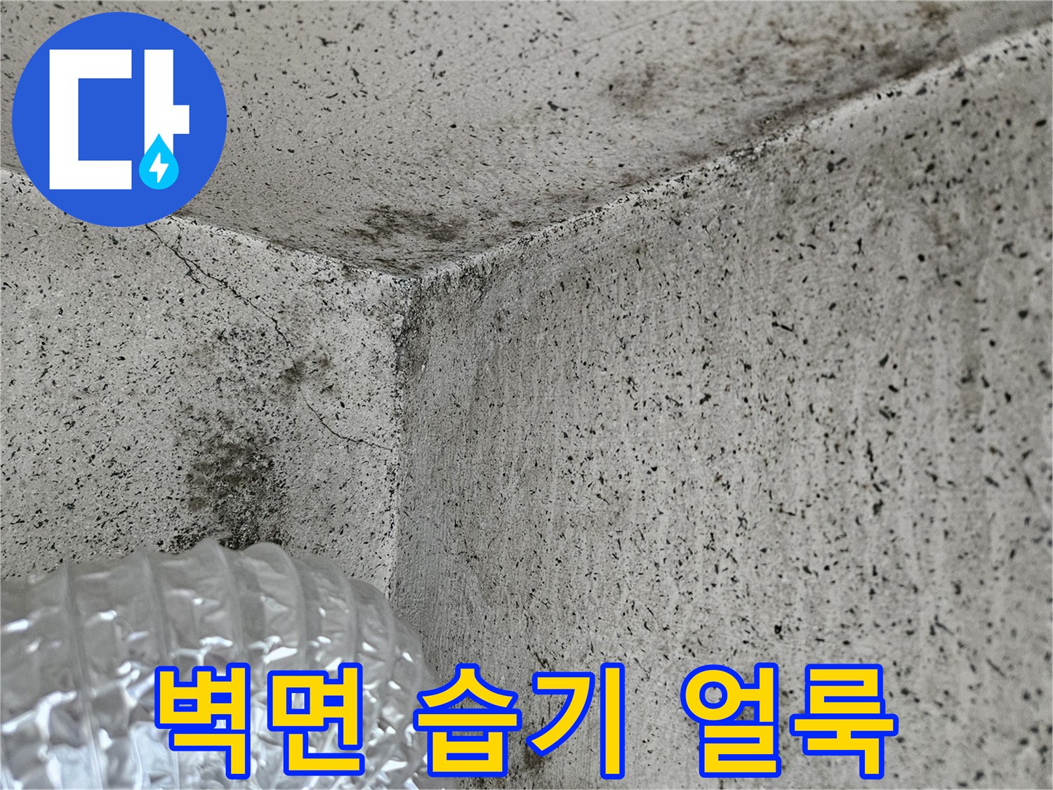 습기로 인해 변색되고 얼룩진 베란다 벽면과 구석 부위