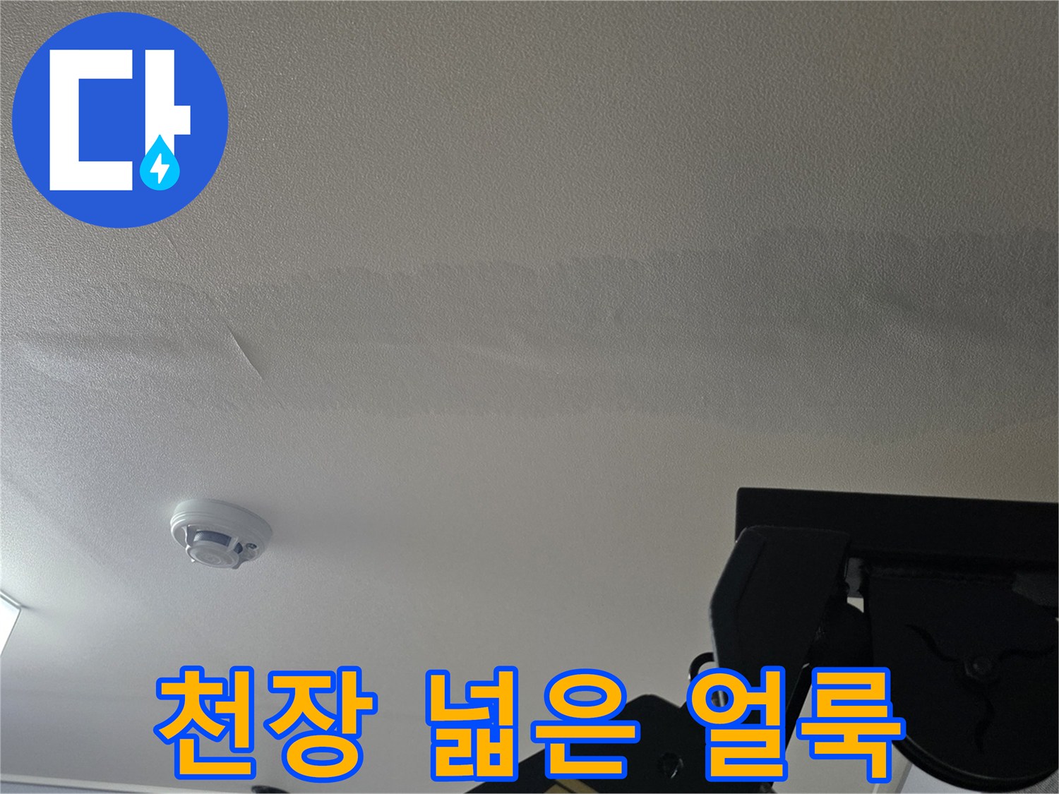 넓게 퍼진 천장 벽지 변색 및 누수 흔적 사진