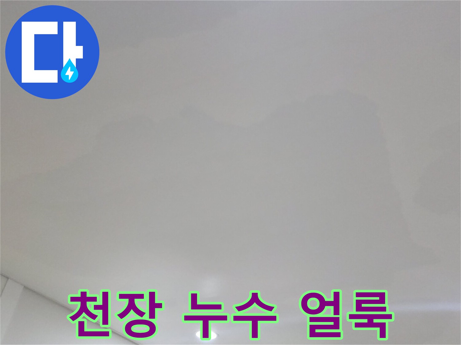 일산서구 현장-벽지 전체로 번져나가는 물자국과 오염 부위
