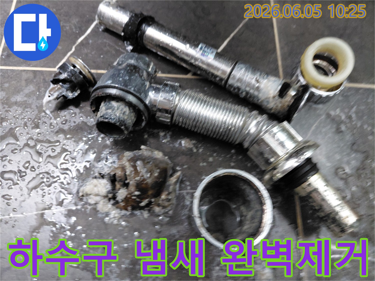 세면대 하수구 트랩에서 제거된 심각한 이물질 덩어리입니다-완벽한 제거로 악취를 해결했습니다